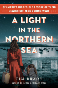 A Light in the Northern Sea book cover