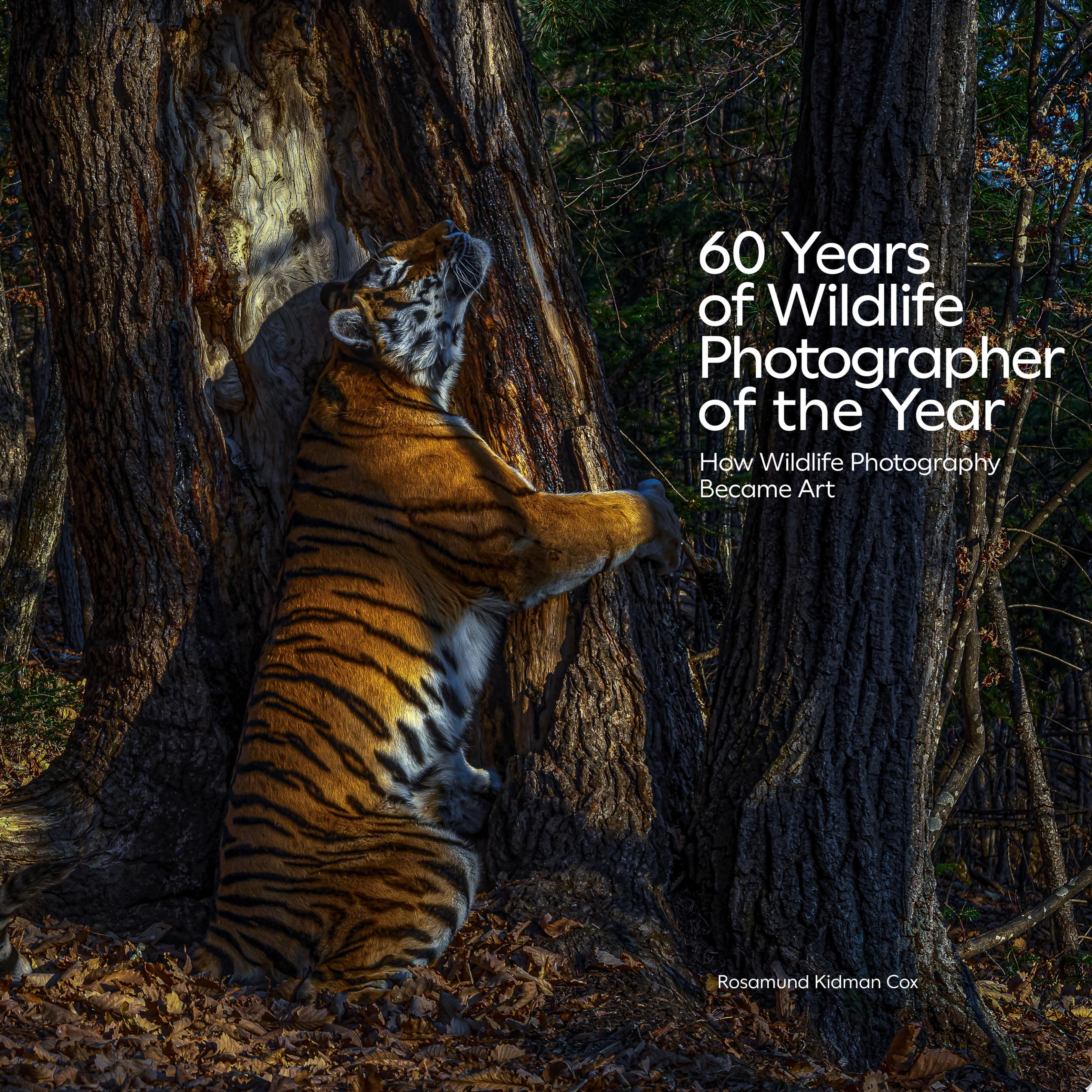 Image of a tiger rubbing itself against a tree to leave it's scent with white text of title and author