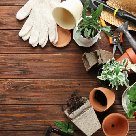 Gardening gloves, pots, and tools arranged on a wood background