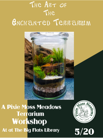 A verticle glass terrarium with various gravels & soil, with greens succulent plants, and a with a small figure making the scale of the terrarium huge. Text title and info are white against a gold and black backgoundsrock