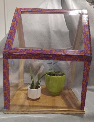 Clear platic greenhouse with wooden base and purple elephant Duck Tape with two plants inside.