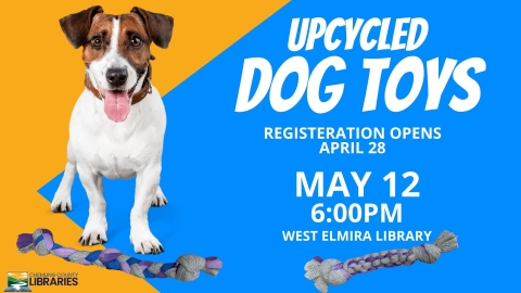 Blue and yellow background with a dog, jack russell terrier, standing in front of two woven dog toys. 