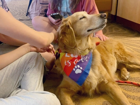therapy dog visiting a library with patrons