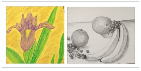 Yellow paper with purple iris drawing and white paper with fruit drawn in black charcoal.