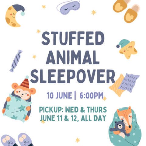 Stuffed animal sleepover