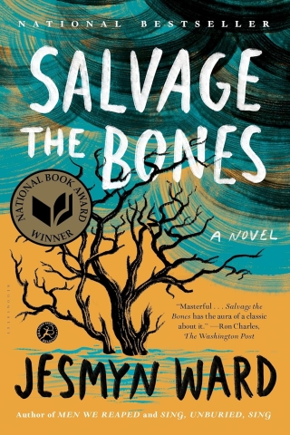 Salvage the Bones book cover of a barren tree planted in the ground against a dark blue sky 