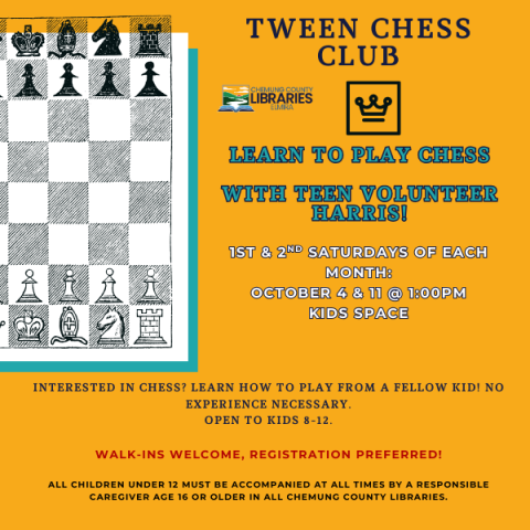 Learn to play chess with volunteer Harris. 1st & 2nd saturday of the month from 1-2pm