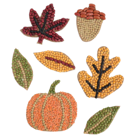 A variety of fall themed mosaics made of yellow and white corn kernels, lentils, red kidney beans, pinto beans, and black beans