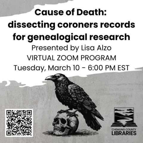 a crow sits on a skull