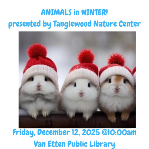 Animals in Winter program - picture of white baby bunnies wearing red winter hats