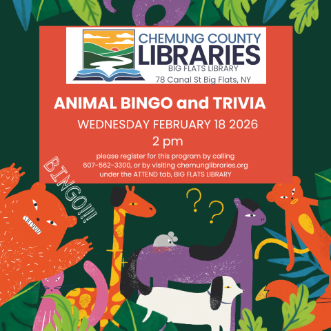 animal bingo and trivia at big flats libray on february 18th at2 p m