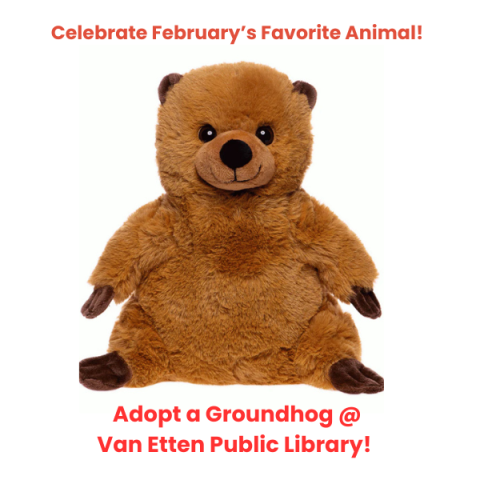 picture of a brown stuffed animal groundhog