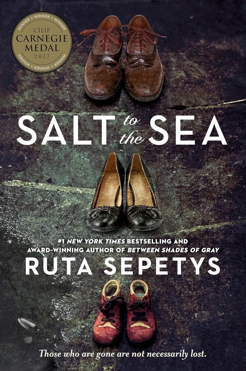  Salt to the Sea Paperback – August 1, 2017 by Ruta Sepetys (Author)