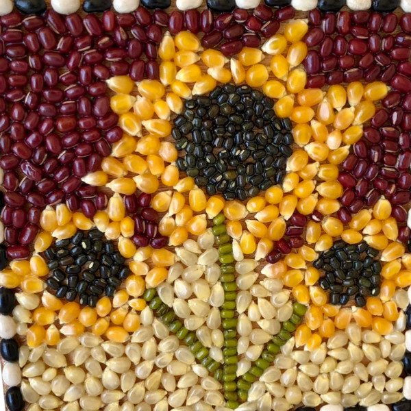 a mosaic of sunflowers on a red background, made of a variety of beans and kernels